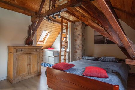 Parel in het Pajottenland met sauna - Foto 3