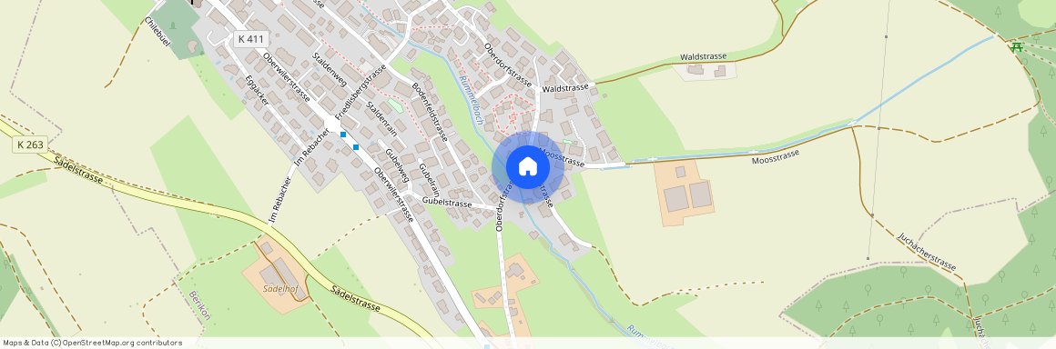 8965, Berikon, Reinenstrasse, 2