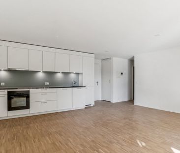 3.5 Zimmer, 62 m², EG - Foto 3