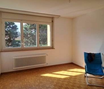 Appartement de 5.5 pièces - BAIL EN COURS / RESERVE - Foto 4