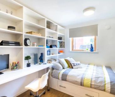 Gold Ensuite - Photo 5