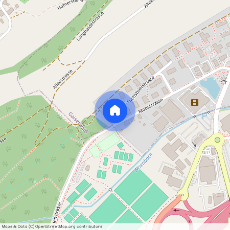 Fuchsbüelstrasse, 20, 9030, Abtwil Sg