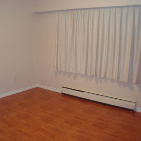 Large Renovated One Bedroom Suite in Mt Pleasant (Main & 12th) - Photo 1