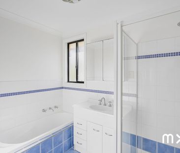 Among the Gums - Photo 1