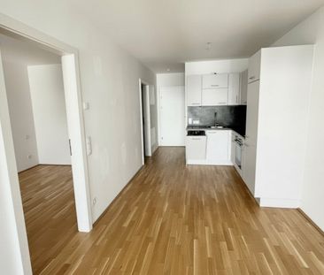 Moderne 2 Zi Wohnung mit Balkon - MIETFREI bis 15.12! (nahe U1) - Photo 4