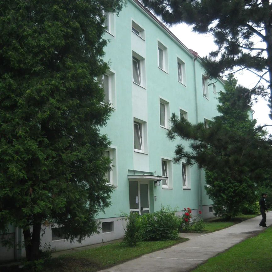 2-Zimmer-Wohnung mit Loggia, Top 21 - Foto 1