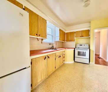 For Lease - 29 Bayview Parkway, Newmarket, Ontario - Photo 4
