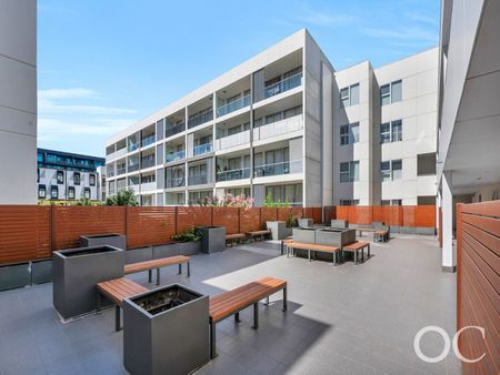 Open the Door To Modern, Low-Maintenance Living in Bowden - Photo 4