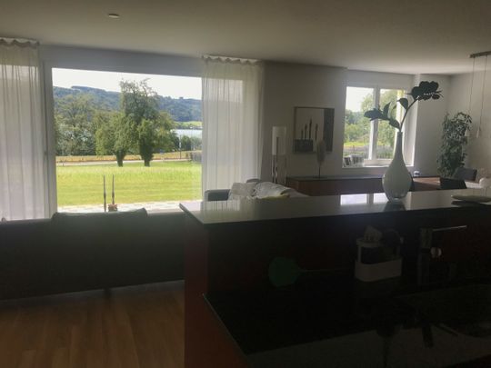 Traumaussicht auf den Baldeggersee - 3.5 Zimmerwohnung im EG - Photo 1