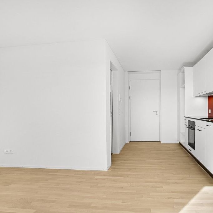 Stylische Urban-Wohnung, Ideal für Singles - Photo 1