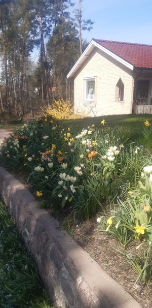 Norrgårdsvägen, Linghem - Photo 1