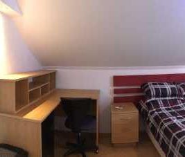 Libre *POUR ÉTUDIANT* Chambre /salle de bain privée /Centre-ville/ ... - Photo 1