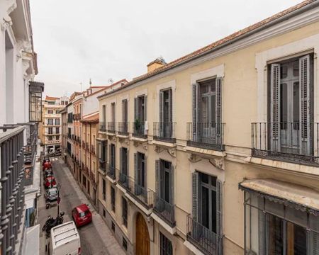 Calle de San Lorenzo, Madrid, Community of Madrid 28004 - Photo 2