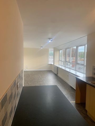 1 Bed Flat, Bradfield Road, S6 - Photo 4