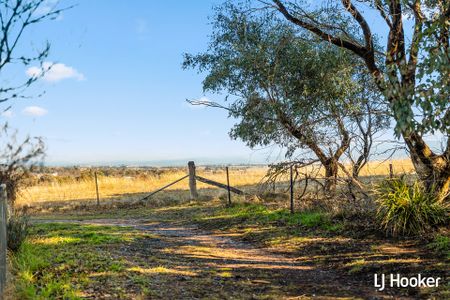 1/40 Siroset Close, Dunlop ACT 2615 - Townhouse For Rent | Domain - Photo 5