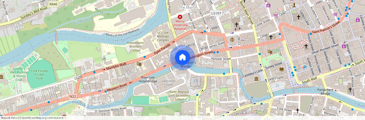 Salmon Weir, Washington Street, Cork City Centre