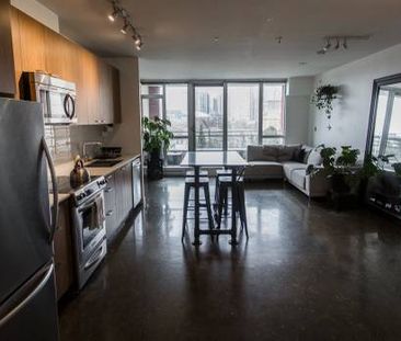 Renovated Bright & Spacious Studio - Pet-Friendly, Unfurnished - Photo 4