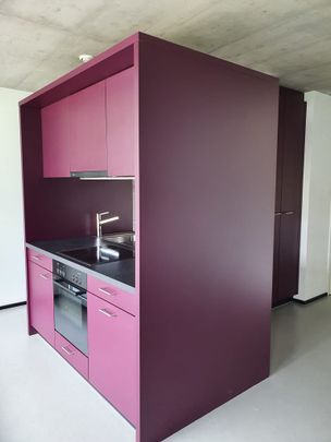 3.5 Zimmer, 67 m², 8. Stock - Foto 1