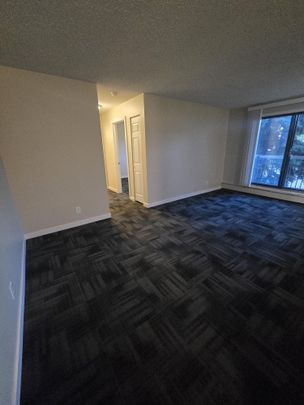 Modern 1 Bedroom Apartment Downtown Available Now - Photo 1