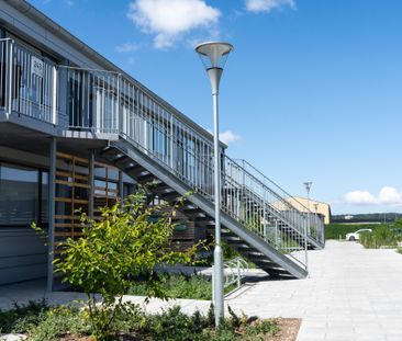 Peter Bruuns Vej, Carl Rothesvej, og C.P. Holbølls Plads - Photo 5