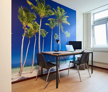 Te huur: gemeubileerde studio's voor studenten in Leiden - Foto 6