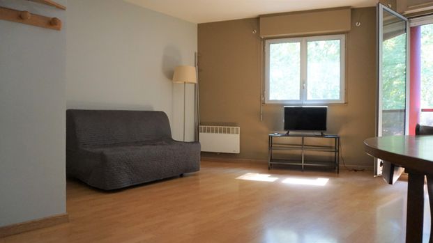 Location Appartement 1 pièce 29m² TOULOUSE 31000 - Photo 1