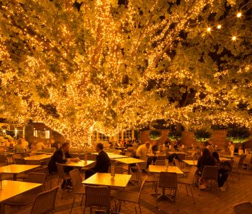 Ultra Convenient, Fully Furnished Executive Apartment - Photo 4