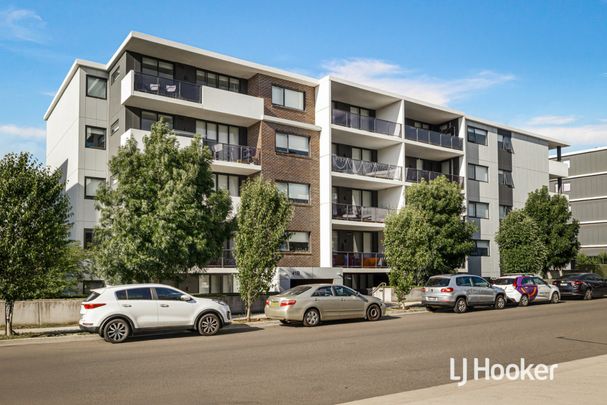 Spacious 1 Bedroom Apartment - Available Now! - Photo 1