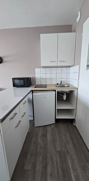 Location Appartement 1 pièce 17m² - Photo 1