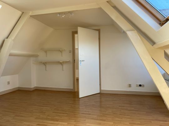 Gemeubileerde leuk en licht 2-kamer appartement op zeer goede locatie in Utrecht te huur - Photo 1