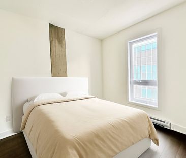 Appartement à louer, Montréal (Le Plateau-Mont-Royal) - Photo 6