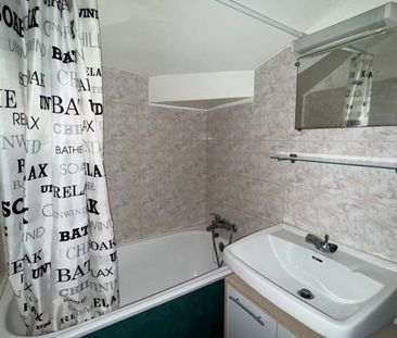 Location Appartement 1 pièce LIMOGES (87000) - Photo 1