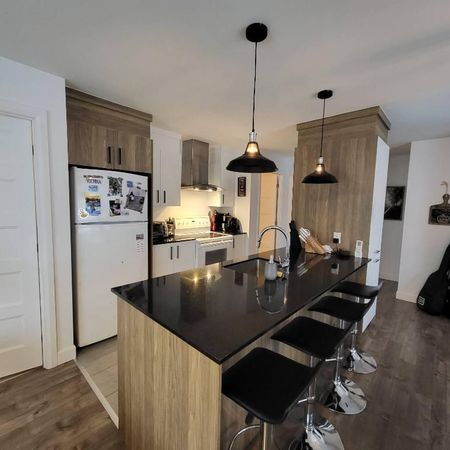 Appartement 4½ à louer - Saint-Nicolas - 1er septembre - Photo 3