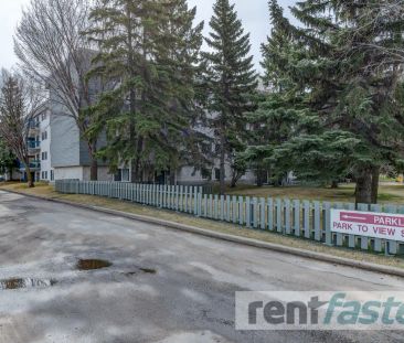 Parklane Apartments — 1 Bedroom - Photo 6