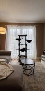 Appartement 4 ½ à louer Beauport juillet 2026 - Photo 3