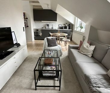 Hässleholmsgatan, Malmö - Photo 2