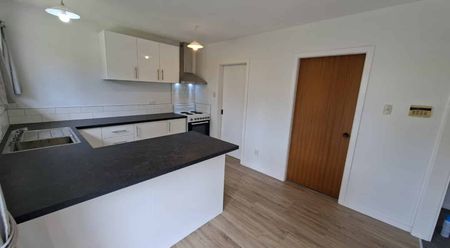 Newly Renovated Summer Living - Photo 3