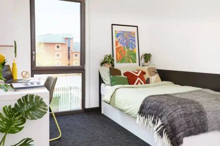 Large Standard Double Studio - Photo 4