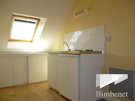 Appartement à louer, 1 pièce - Orléans 45000 - Photo 4