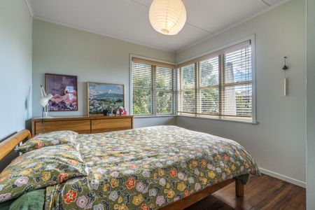 Classic Kiwi Design - Modernised kitchen with 3 + 1 bedrooms (bonus of purpose-designed sleepout) - Photo 4