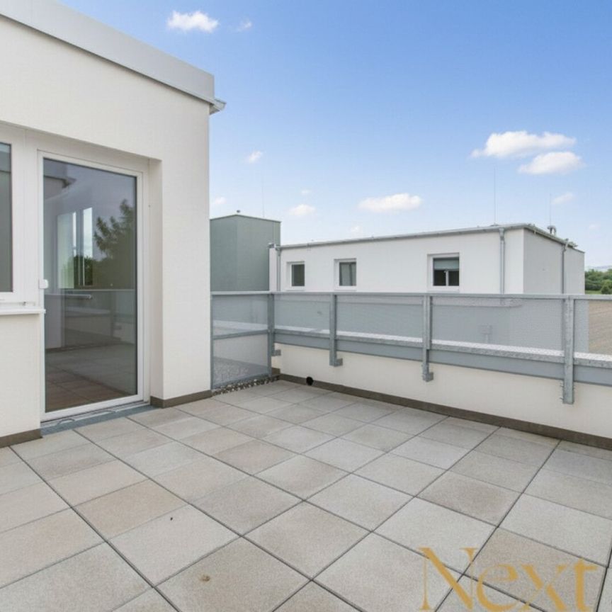 Wunderschöne 4-Zimmer-Wohnung mit sonniger Terrasse in St. Pölten zu vermieten - Miete mit Kaufoption! - Foto 1