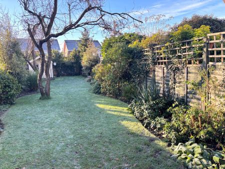 1 bedroom cottage to let - Photo 3