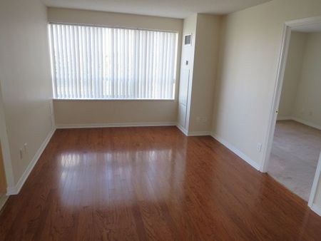 For Lease - 11 Oneida Crescent Unit# 204, Richmond Hill, Ontario - Photo 4