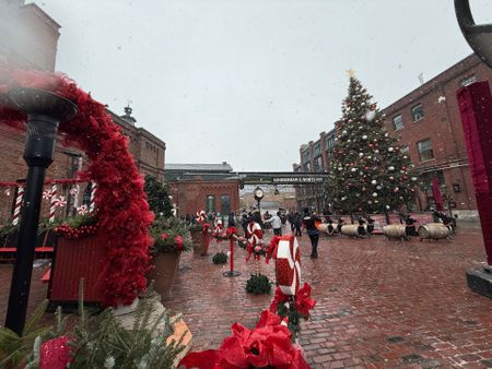 For Lease - 35 Parliament Street Unit# 1310, Toronto, Ontario - Photo 4