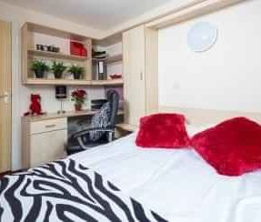 Premium Plus Ensuite - Photo 4