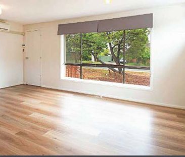 69 Burkitt Street, Page ACT 2614 - House For Rent | Domain - Photo 6