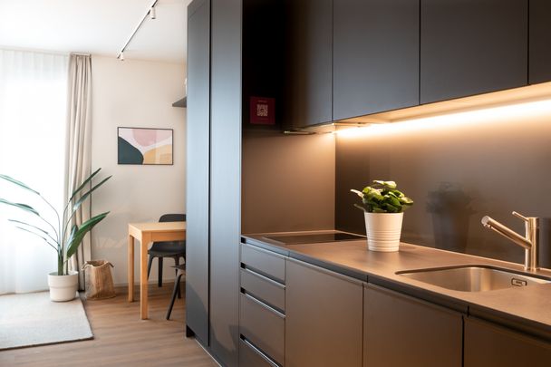 1.5 Zimmerwohnung - lichtdurchflutetes Apartment mit Sicht in die Alpen - Foto 1