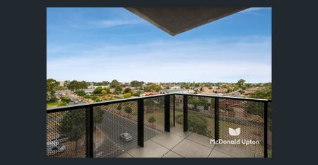 Live The High Life - Photo 4