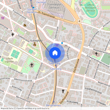 Schaffhauserstrasse 304, 8050, Zürich