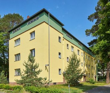 2-Zimmer Wohnung in der Waldsiedlung - Photo 2